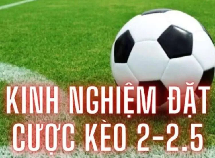 Kèo Chấp 2 1/4 Đến Thế Giới Hi88 Cá Cược Siêu Hấp Dẫn 3 Kinh nghiệm chơi kèo 2 1/4 Hi88
