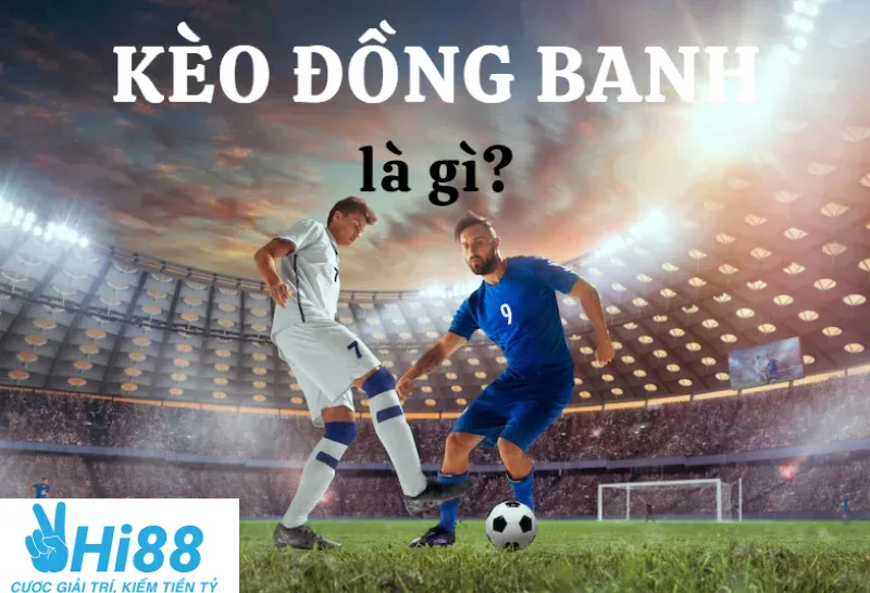 Kèo Đồng Banh Là Gì Và Cá Cược Kèo Đồng Banh Chuẩn Tại Hi88 2025 3 Đặc điểm nổi bật khi tìm hiểu kèo đồng banh là gì?